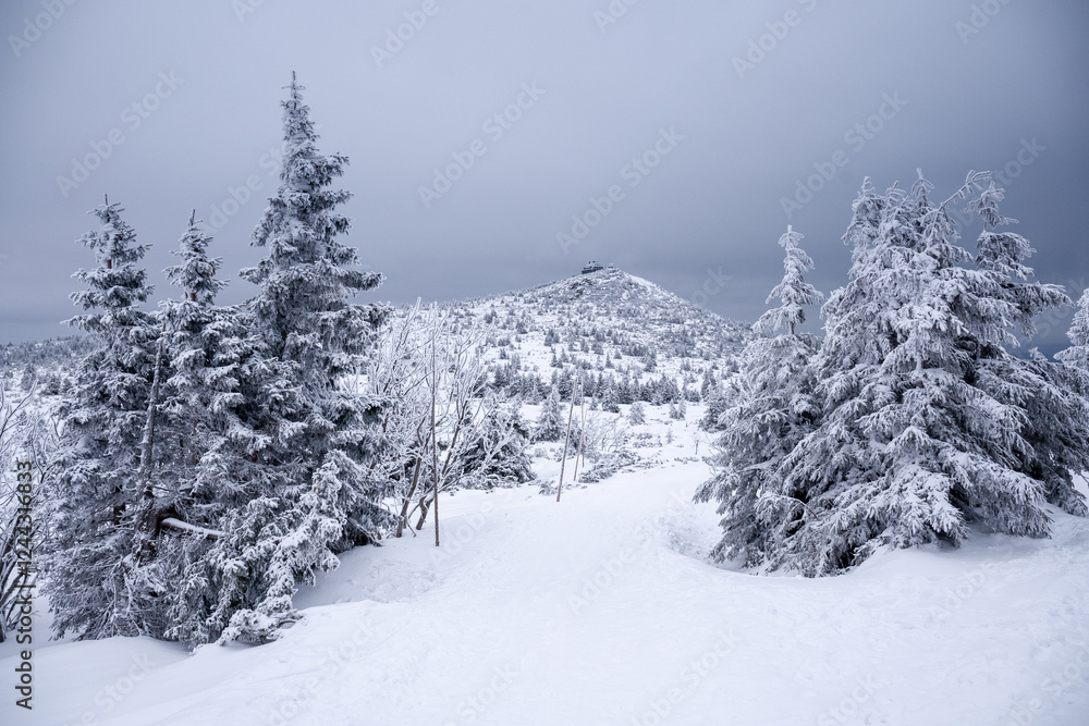 View towards Szrenica, a mountain peak located in the western part of the Karkonosze Mountains. View towards Szrenica, a mountain peak located in the western part of the Karkonosze Mountains.