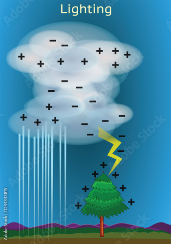 Lighting diagram, cloud to tree. in rainy weather electron transfer. Thunder strike in night, scheme. Negative to positive electricity. Vector illustration