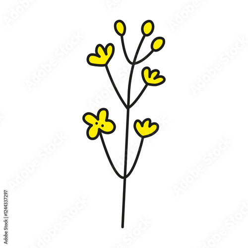 Doodle yellow rapeseed canola flowers isolated on white background.