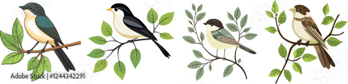 vector illustration of a birds on a branch