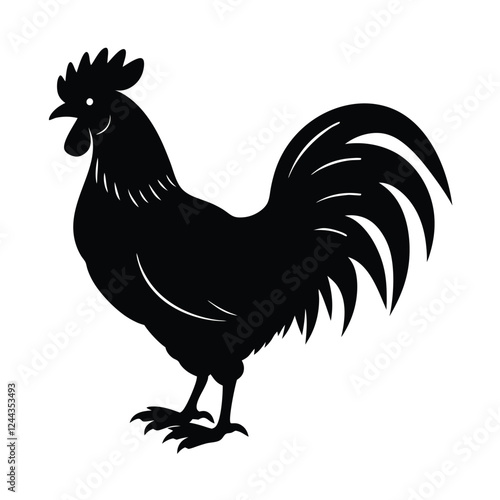chicken vector illustration