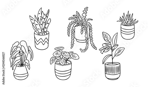 Hand drawn doodle collection of potted houseplants in black and white, featuring various leaf shapes and decorative pots, perfect for coloring or botanical-themed projects