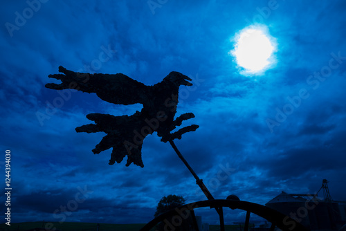 USA, Washington State, Palouse, Colfax. weathervane. Bird. photo