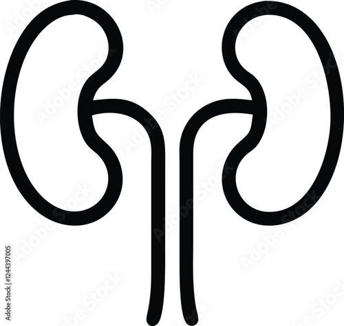 Human kidney with shield isolated on white background. Kidney care concept. Kidney vector art.