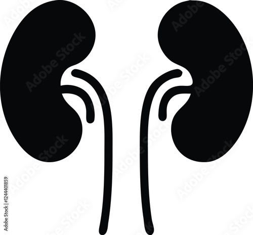Human kidney with shield isolated on white background. Kidney care concept. Kidney vector art.