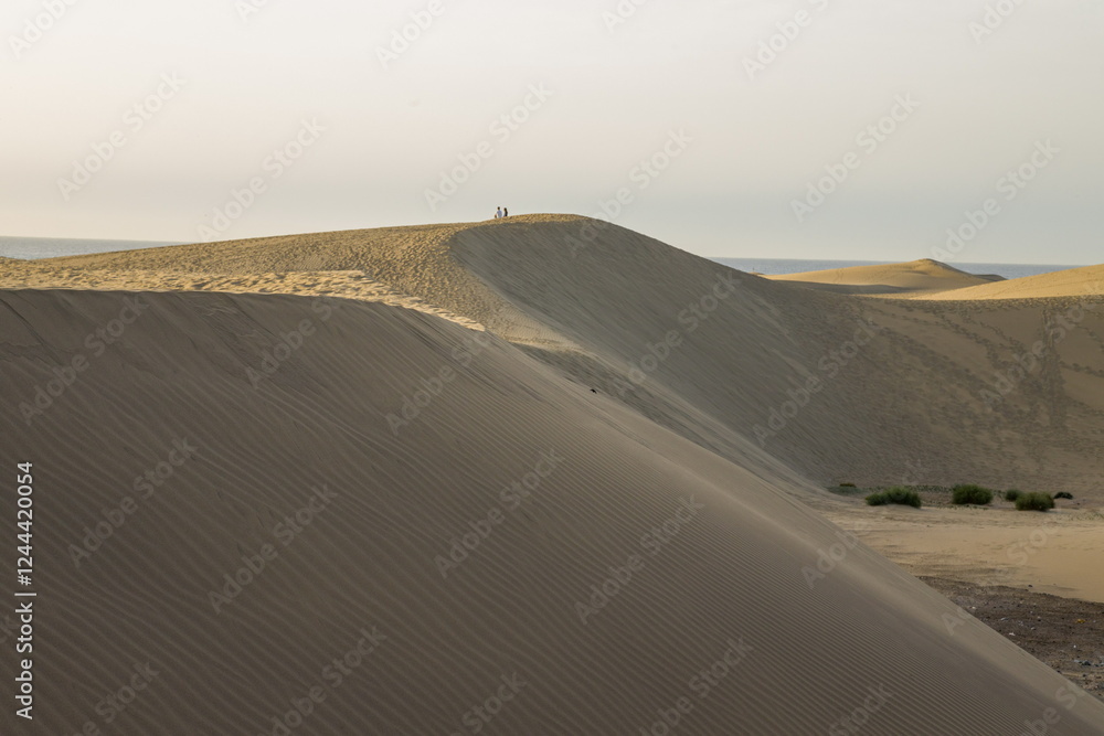 Vast sand dunes landscape with a small figure highlighting the scale.