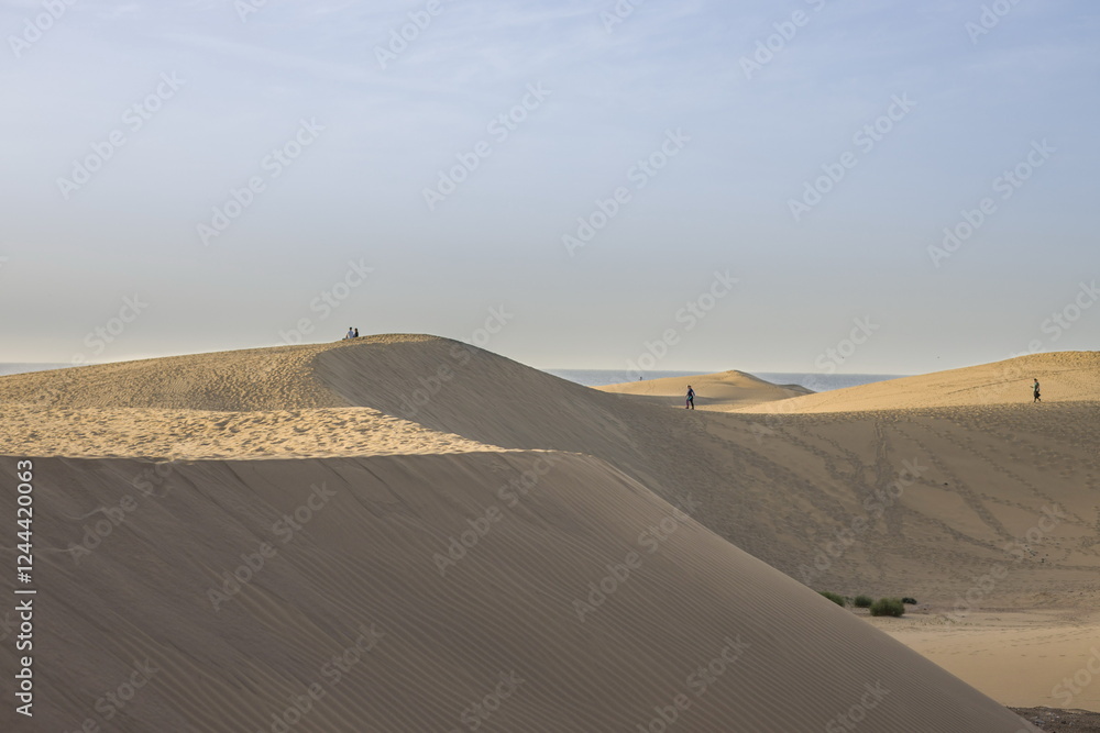 Vast sand dunes landscape with a small figure highlighting the scale.