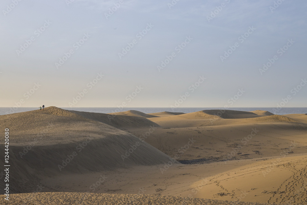 Vast sand dunes landscape with a small figure highlighting the scale.