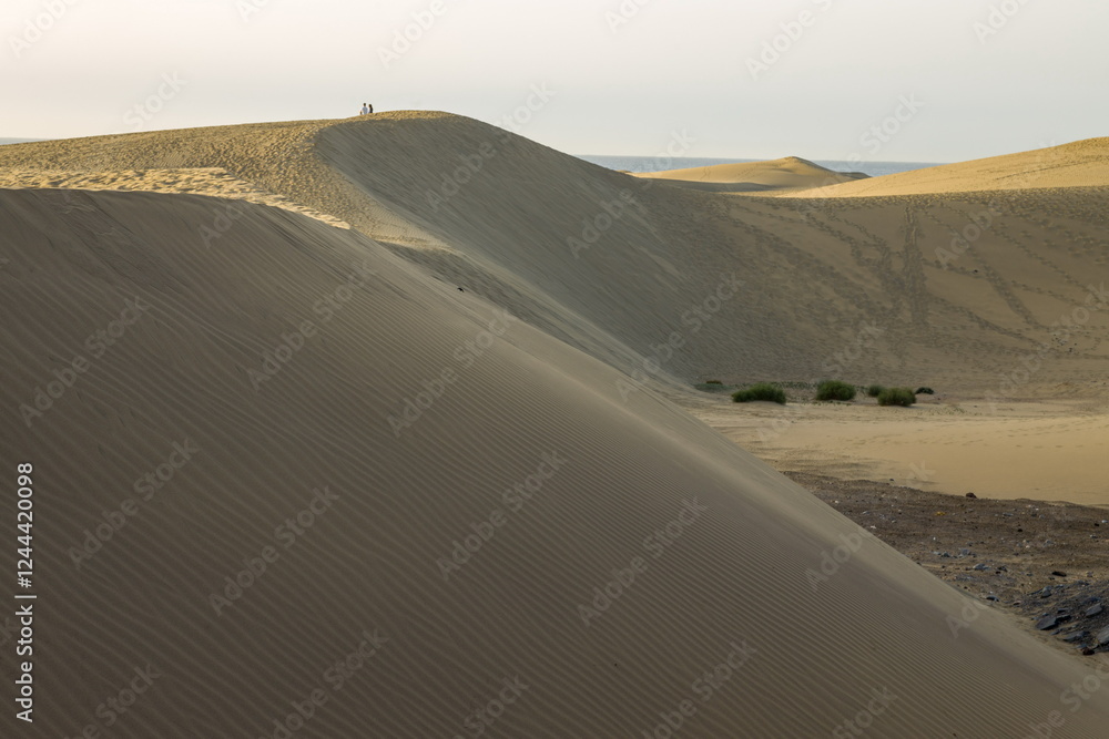 Vast sand dunes landscape with a small figure highlighting the scale.