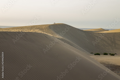 Vast sand dunes landscape with a small figure highlighting the scale.