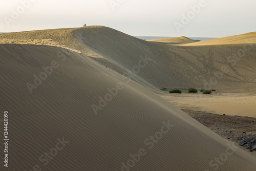 Obraz na płótnie Vast sand dunes landscape with a small figure highlighting the scale. w salonie