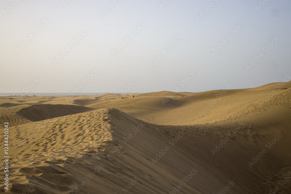 Vast sand dunes landscape with a small figure highlighting the scale.