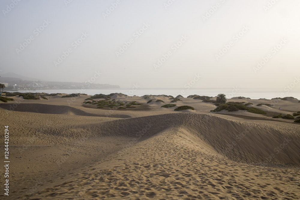 Vast sand dunes landscape with a small figure highlighting the scale.