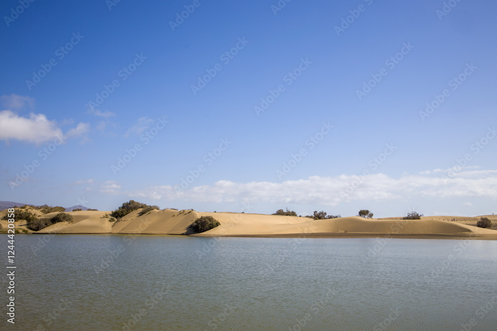 Maspalomas Dunes and lagoon in Gran Canaria.