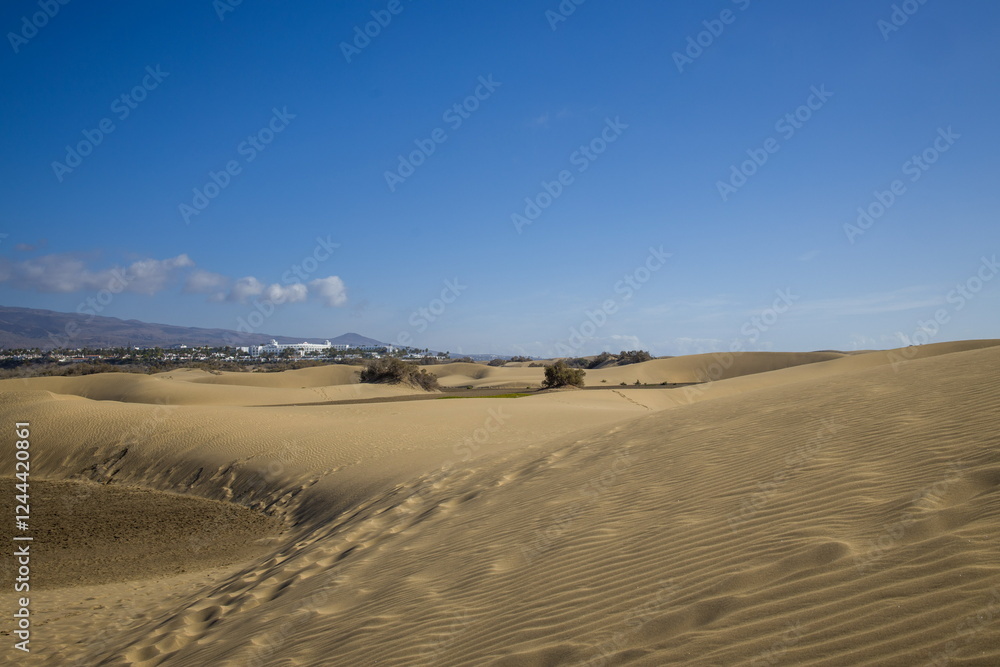 Vast sand dunes landscape with a small figure highlighting the scale. Vast sand dunes landscape with a small figure highlighting the scale.