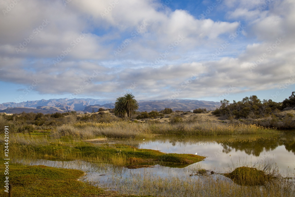 La Charca de Maspalomas in Gran Canaria. Calm water with reflections of the sky and vegetation.