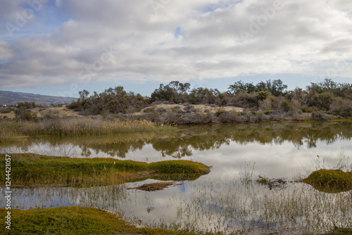 Obraz na płótnie La Charca de Maspalomas in Gran Canaria. Calm water with reflections of the sky and vegetation. w salonie