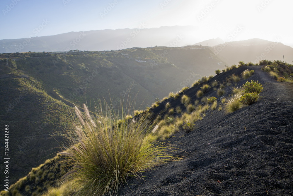 Mountainous landscape near Bandama, Gran Canaria, with a focus on backlit ornamental grass.