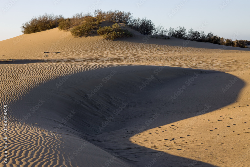 Maspalomas Dunes in Gran Canaria. Textured sand dunes with patterns, shadows, and faint footprints.