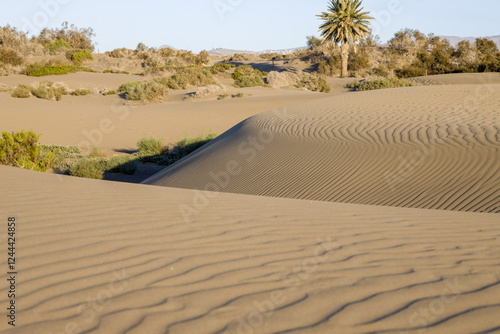 Maspalomas Dunes in Gran Canaria. Textured sand dunes with patterns, shadows, and faint footprints.