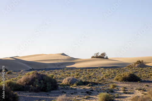 Maspalomas Dunes in Gran Canaria. Textured sand dunes with patterns, shadows, and faint footprints.