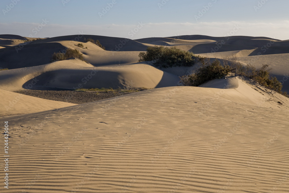 Maspalomas Dunes in Gran Canaria. Textured sand dunes with patterns, shadows, and faint footprints.