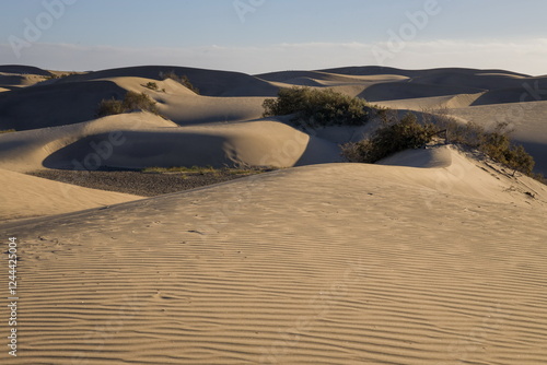 Obraz na płótnie Maspalomas Dunes in Gran Canaria. Textured sand dunes with patterns, shadows, and faint footprints. w salonie