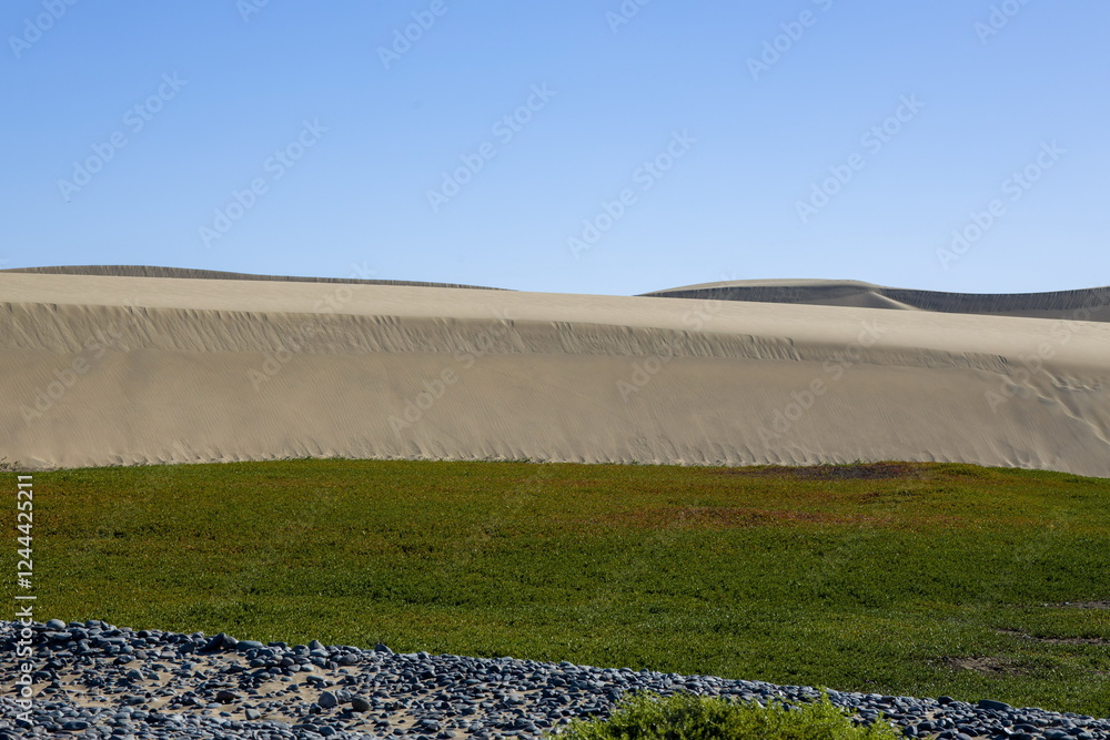 Maspalomas Dunes in Gran Canaria. Textured sand dunes with patterns, shadows, and faint footprints.