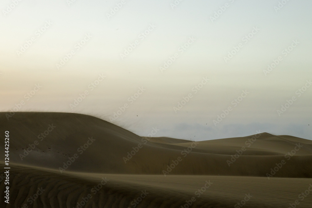 Maspalomas Dunes, Sand dune landscape at sunset or sunrise.