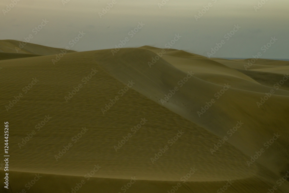 Maspalomas Dunes, Sand dune landscape at sunset or sunrise.
