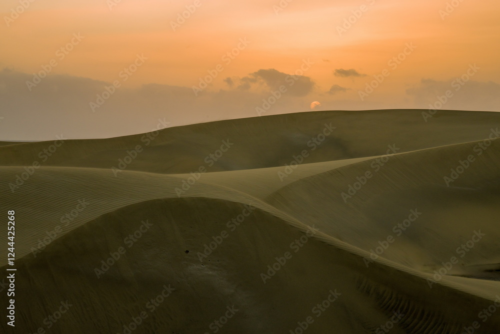 Maspalomas Dunes, Sand dune landscape at sunset or sunrise.