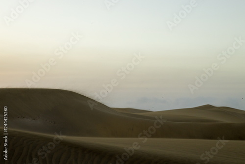 Obraz na płótnie Maspalomas Dunes, Sand dune landscape at sunset or sunrise. w salonie