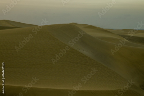 Obraz na płótnie Maspalomas Dunes, Sand dune landscape at sunset or sunrise. w salonie