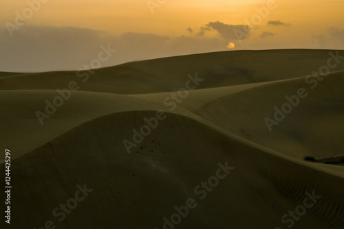 Obraz na płótnie Maspalomas Dunes, Sand dune landscape at sunset or sunrise. w salonie