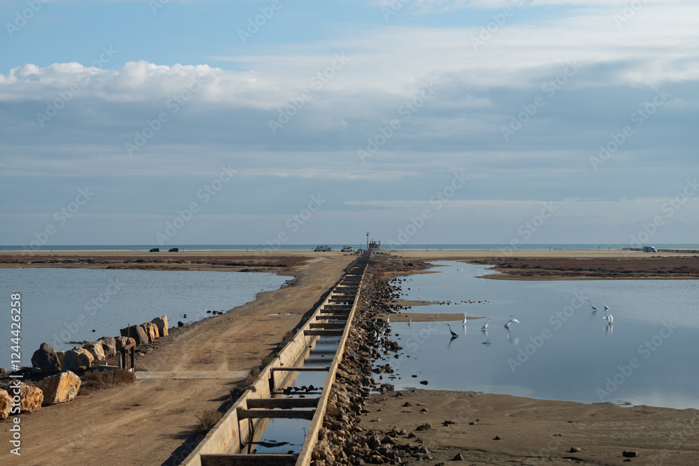 Obraz premium pier on the beach