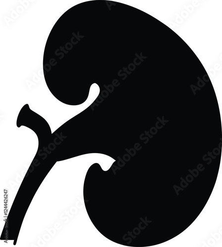 Human kidney with shield isolated on white background. Kidney care concept. Kidney vector art.
