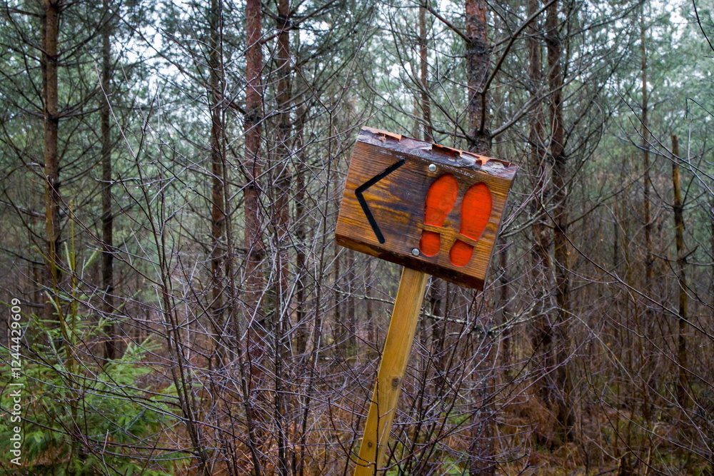 Wooden trail sign with a left arrow and red footprints, indicating a path in a dense forest.