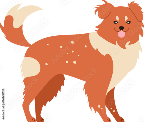 Kooikerhondje standing in profile with wagging tail and tongue out, happy and playful, isolated on white background, simple flat vector illustration