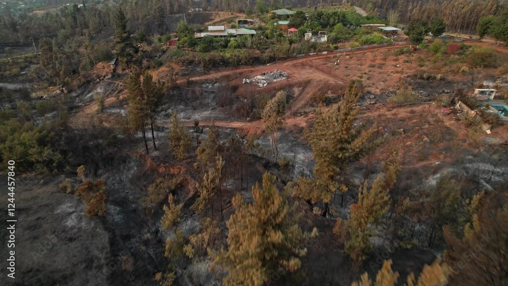 Aerial drone images of a forest fire in the rural sector of El Queime, Bio Bio region Aerial drone images of a forest fire in the rural sector of El Queime, Bio Bio region