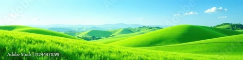 Rolling hills, vibrant green against a clear blue sky, grass, photo