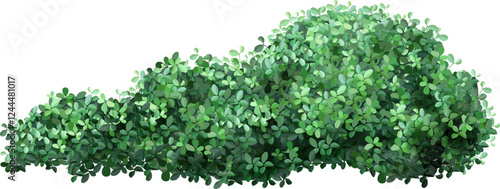 Lush green leaves densely packed together create a natural hedge. The vibrant foliage forms a thick, textured barrier, ideal for garden landscaping or nature themed designs