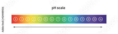 Neutral and Acid-Alkaline pH Scale. Chemistry Analysis Diagram PNG