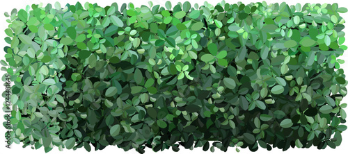 Dense green foliage forms a natural hedge, providing privacy and a lush backdrop. The variety of leaf shapes and shades of green create a vibrant, textured appearance ideal for gardens