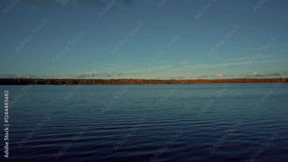 Calm waters reflecting a clear sky meet a distant tree-lined horizon
