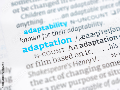 Definition of “adaptation”. Meaning of adjustment, change, modification, suitability, dictionary term, biological concept. photo