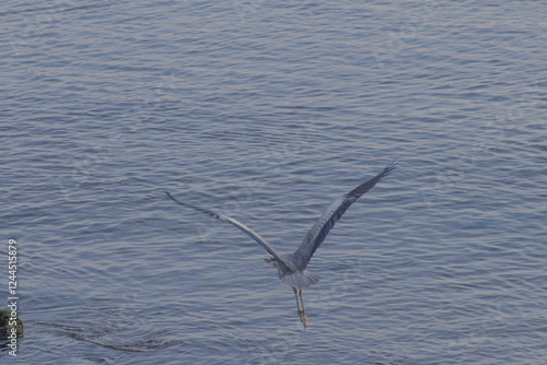 空へ続く軌跡 photo