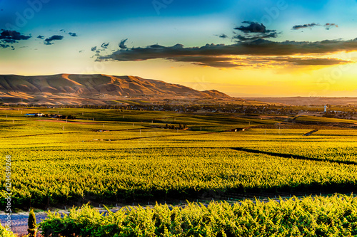 USA, Washington State, Yakima Valley. Dusk on the Red Mountain vineyards with the Horse Heaven Hills in the background.