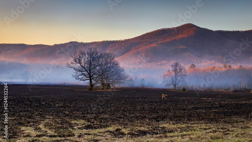 End of day for prescribed burn