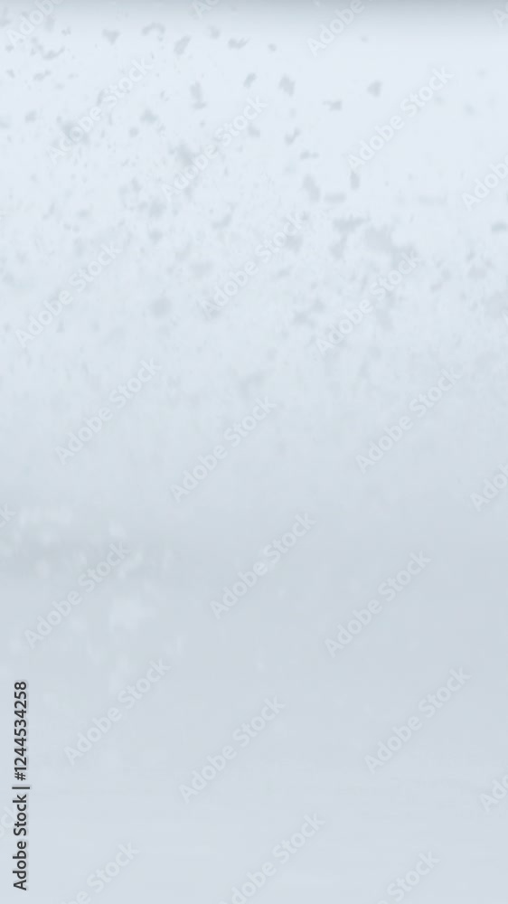 SLOW MOTION, CLOSE UP, DOF: Beautiful black horse walking through fresh snowy blanket splashing snowflakes around. Stunning dark brown stallion wading through soft snow in forest on white winter day SLOW MOTION, CLOSE UP, DOF: Beautiful black horse walking through fresh snowy blanket splashing snowflakes around. Stunning dark brown stallion wading through soft snow in forest on white winter day