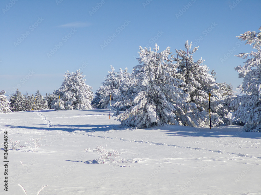 Winter Landscape of Vitosha Mountain, Bulgaria